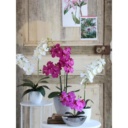 Mica Decorations Phalaenopsis Kunstplant - 16x16x60 cm - Wit 3