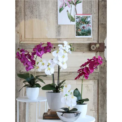 Mica Decorations Phalaenopsis Kunstplant - 16x16x60 cm - Paars 3