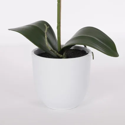 Plante artificielle Mica Decorations Phalaenopsis - 16x16x60 cm - Pourpre 4
