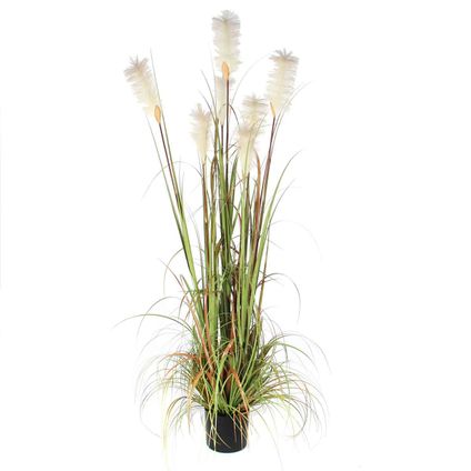 Plante artificielle Mica Decorations Foxtail - 1x1x180 cm - Vert