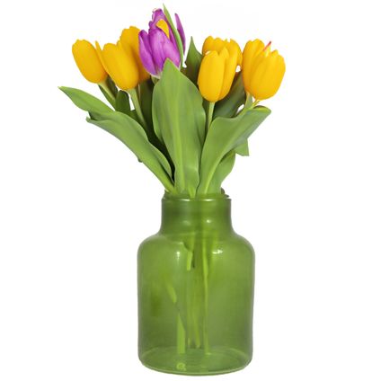 Floran Vaas - apotheker model - groen/transparant glas - H20 x D15 cm