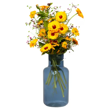 Floran Vaas - apotheker model - blauw/transparant glas - H30 x D15 cm