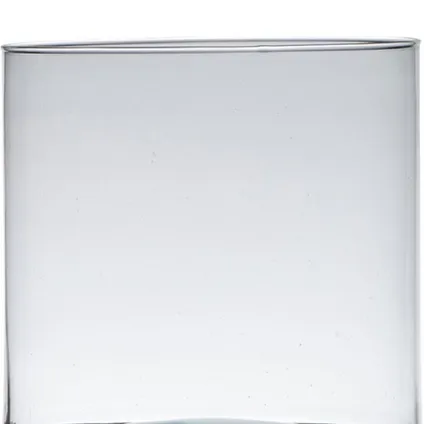 Hakbijl Glass Vaas - transparant - cylinder vorm - 30 x 19 cm 2