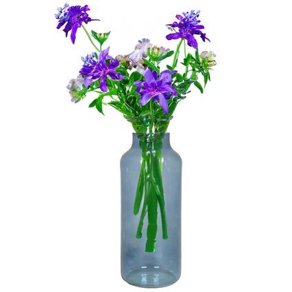 Floran Vaas - apotheker model - blauw/transparant glas - H35 x D15 cm