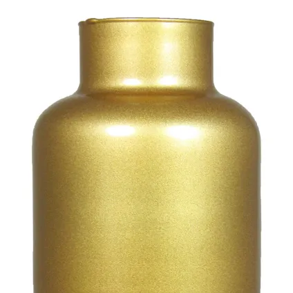 Floran Vaas - apotheker model - mat goud glas - H30 x D15 cm 2