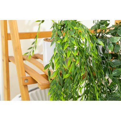 GreenDream® 3 Verschillende Hangplanten Kunstplanten in Pot - decoratief - Cadeautip - Groen 2