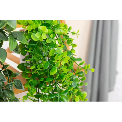 GreenDream® 3 Verschillende Hangplanten Kunstplanten in Pot - decoratief - Cadeautip - Groen 4
