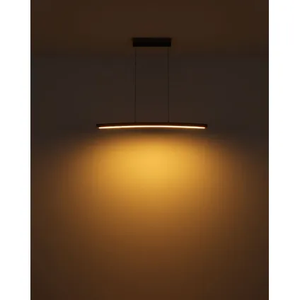 Globo Hanglamp Doro LED metaal grafiet 1x LED 6