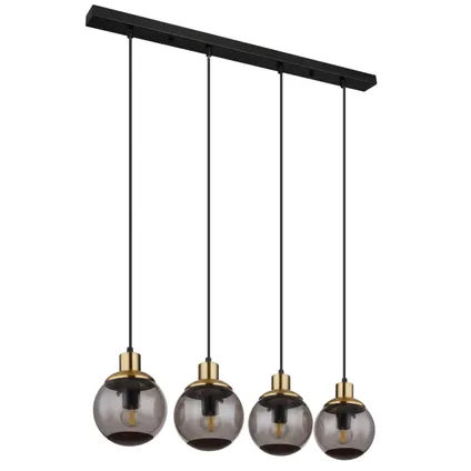 Globo Hanglamp Potter metaal zwart 4x E27 4