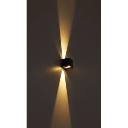 Globo Buitenlamp Veronika LED aluminium spuitgietwerk antraciet 2x LED 8