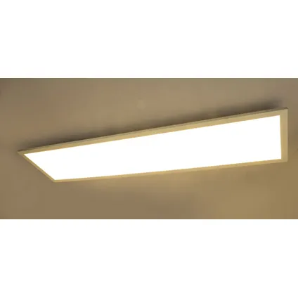 Globo Plafondlamp Rosi LED aluminium wit 1x LED 4