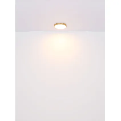 Globo Plafondlamp Tibey LED metaal messingkleurig 1x LED 7