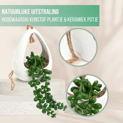 GreenDream® Plantes artificielles - 3 pièces Plantes suspendues dans un cintre 5