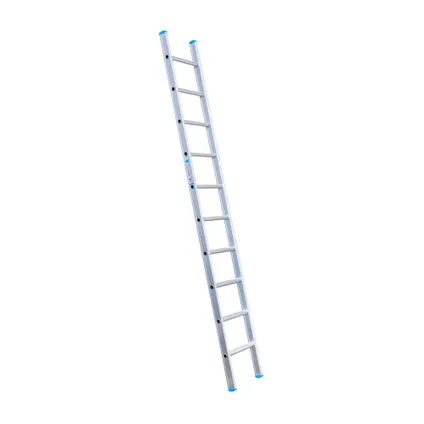 Eurostairs enkele rechte ladder - Lichtgewicht met 1x10 sporten 3