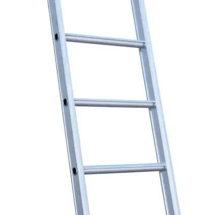 Eurostairs enkele rechte ladder - Lichtgewicht met 1x10 sporten 5