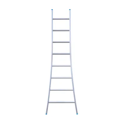 Eurostairs enkele uitgebogen ladder - Lichtgewicht met 1x8 sporten 2