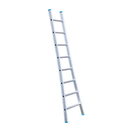 Eurostairs enkele uitgebogen ladder - Lichtgewicht met 1x8 sporten 3