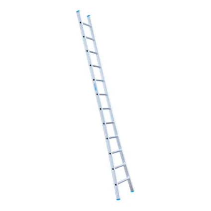 Eurostairs enkele uitgebogen ladder - Lichtgewicht met 1x12 sporten 3