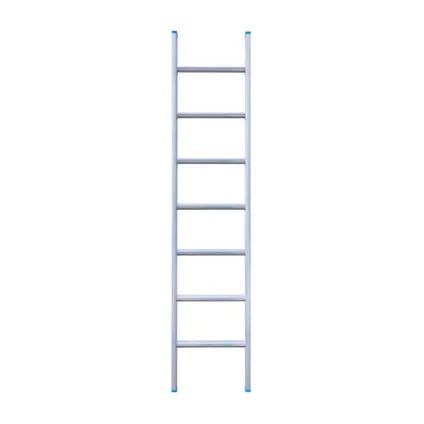 Eurostairs enkele rechte ladder - Lichtgewicht met 1x7 sporten 2