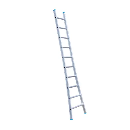 Eurostairs enkele uitgebogen ladder - Lichtgewicht met 1x10 sporten 3