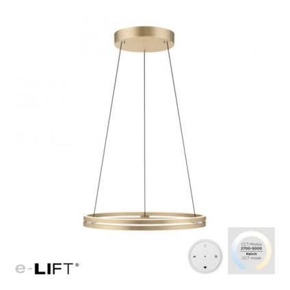 Paul Neuhaus hanglamp E-Loop e-Lift Ø 70cm mat goud