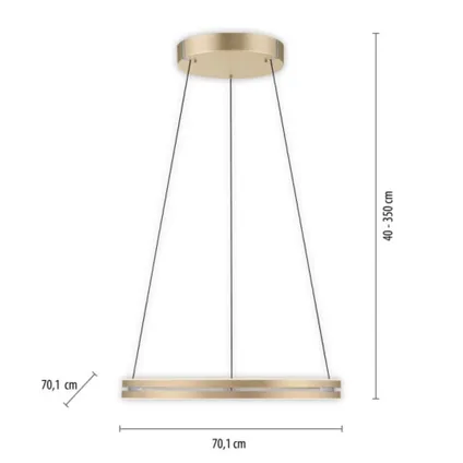 Paul Neuhaus hanglamp E-Loop e-Lift Ø 70cm mat goud 10