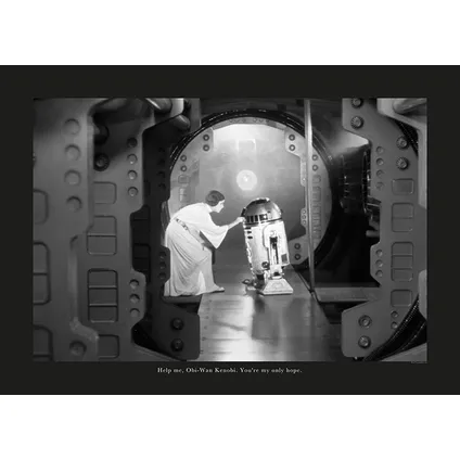 Komar Poster Star Wars Classic Leia R2D2 quote 30 x 40 cm 2