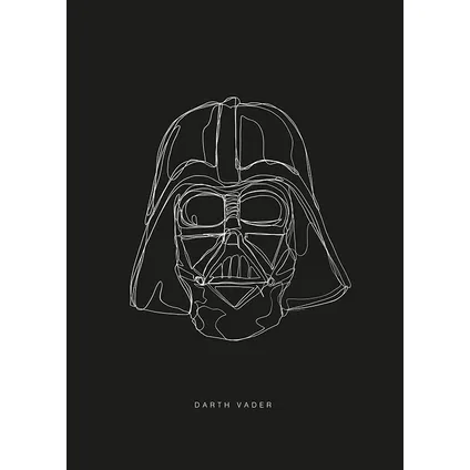 Komar Poster Star Wars lijnen Dark Side Vader 30 x 40 cm 2