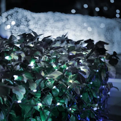 ECD Germany LED lichtnet lichtketting Kerstmis koud wit 320 LED 1,5 x 3 m voor binnen en buiten IP44 7