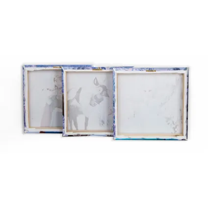 Set de 3 toiles imprimées Disney La Reine des Neiges 30 x 30cm Multicolore 5
