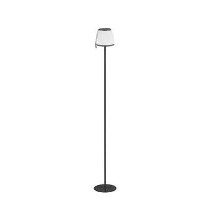 Moderne Vloerlamp Domingo - Metaal - Grijs 2