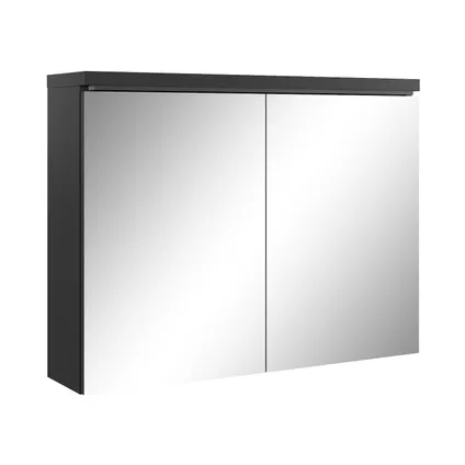Meuble a miroir Paso 80 x 60 cm - Badplaats - Noir - Miroir armoire