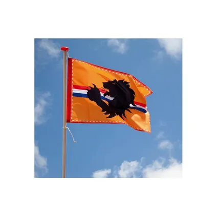 Oranje Gevelvlag 90 x 60 cm - Koningsdag - EK/WK Voetbal