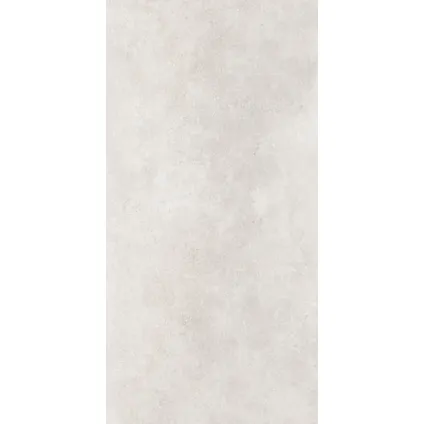 Wand- en vloertegel Active - Keramiek - 60121 Silver - 121x60,4cm - Pakketinhoud 1,47m²