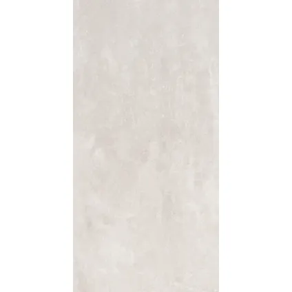 Wand- en vloertegel Active - Keramiek - 60121 Silver - 121x60,4cm - Pakketinhoud 1,47m² 2