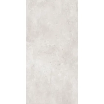 Wand- en vloertegel Active - Keramiek - 60121 Silver - 121x60,4cm - Pakketinhoud 1,47m² 3