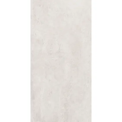 Wand- en vloertegel Active - Keramiek - 60121 Silver - 121x60,4cm - Pakketinhoud 1,47m² 4