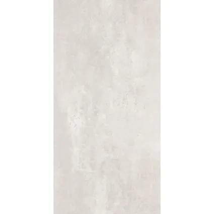 Wand- en vloertegel Active - Keramiek - 60121 Silver - 121x60,4cm - Pakketinhoud 1,47m² 5