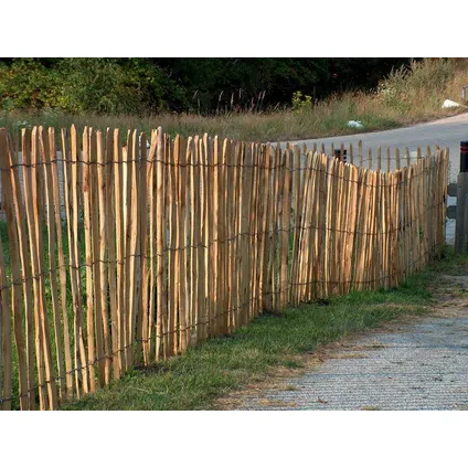 Intergard - Ganivelle clôture chataignier Acacia Robinier 1,00x10m (8/9cm) 3