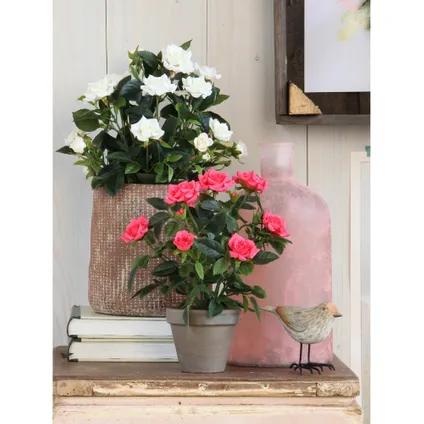 Mica Decorations Kunstplant - rozen - wit - in grijze pot - 33 cm 2