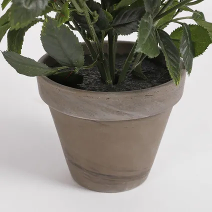 Mica Decorations Kunstplant - rozen - wit - in grijze pot - 33 cm 4