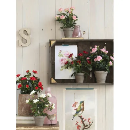 Mica Decorations Kunstplant - rozen - wit - in grijze pot - 33 cm 5