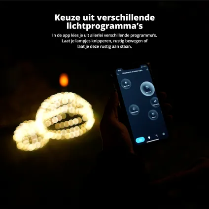 FlinQ Slimme Lichtbol - Hanglamp - Binnen & Buiten - Ø 30 CM - Zwart 7