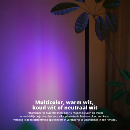 FlinQ Xyro LED Slimme Vloerlamp - Staande Lamp - Zwart 9