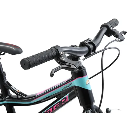 Bikestar mountainbike kinderfiets alu 16 inch zwart / blauw 5