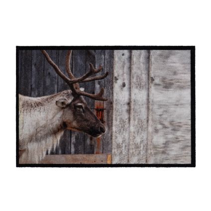 Deurmat Mondial Wild Deer 50 x 75 cm