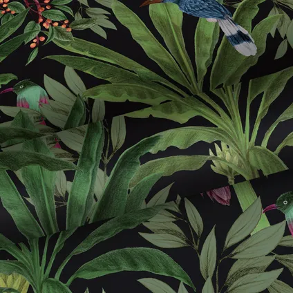 Walls4You papier peint feuilles de la jungle tropicale et oiseaux de paradis noir et vert 5