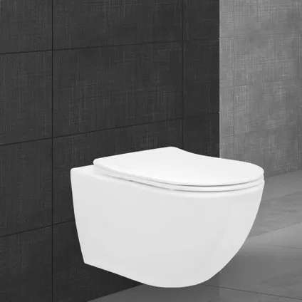 Toilette Suspendu ECD Germany sans Rebord, Blanc Mat, avec Siège WC Amovible en Duroplast 2