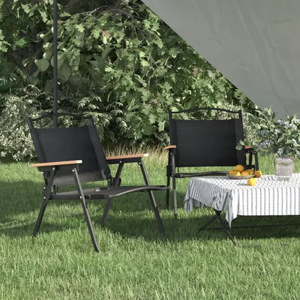 The Living Store - Polyester - Chaises de camping 2 pcs Noir 54x43x59 cm Tissu - TLS319482