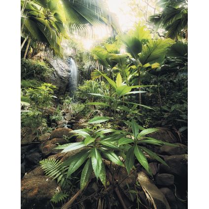 Sanders & Sanders papier peint panoramique jungle vert - 200 x 250 cm - 612556